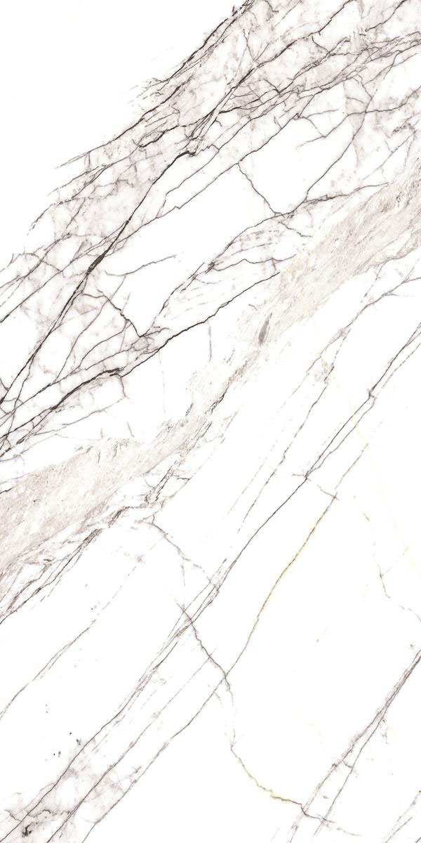 COSICO WHITE F4